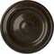 Ekena Millwork Maria Ceiling Medallion (Fits Canopies up to 1 3/4"), 9 5/8"OD x 1 1/8"P, Stone Hearth Crackle CM09MASHC - alternate 1